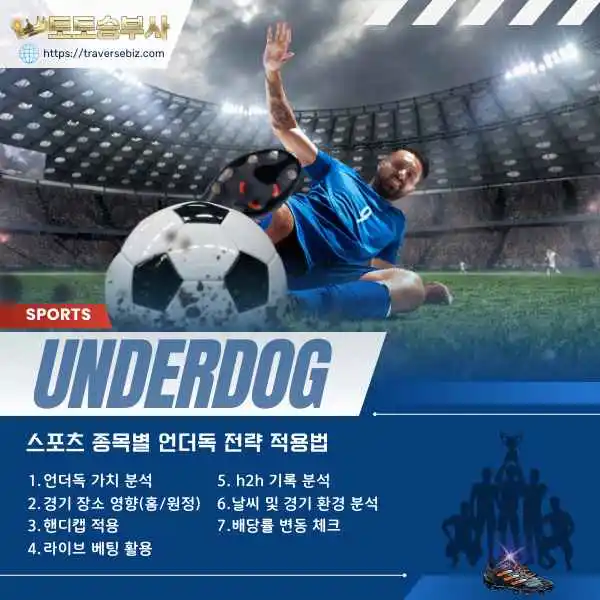 Read more about the article 언더독(Underdog) 베팅 전략